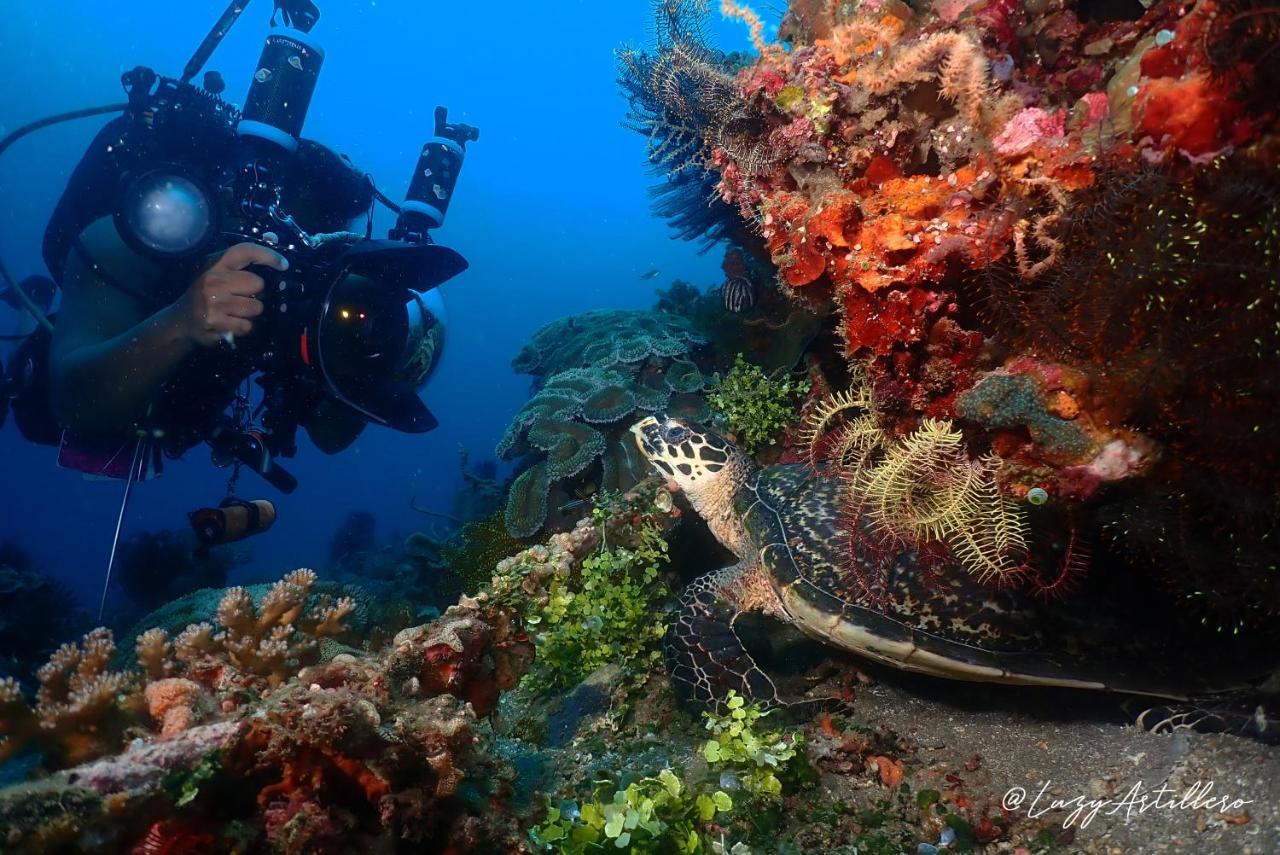 La Tortue Diving Resort Dauin Eksteriør bilde
