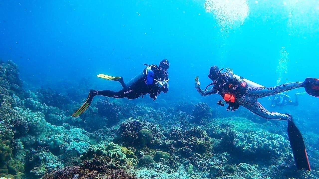 La Tortue Diving Resort Dauin Eksteriør bilde