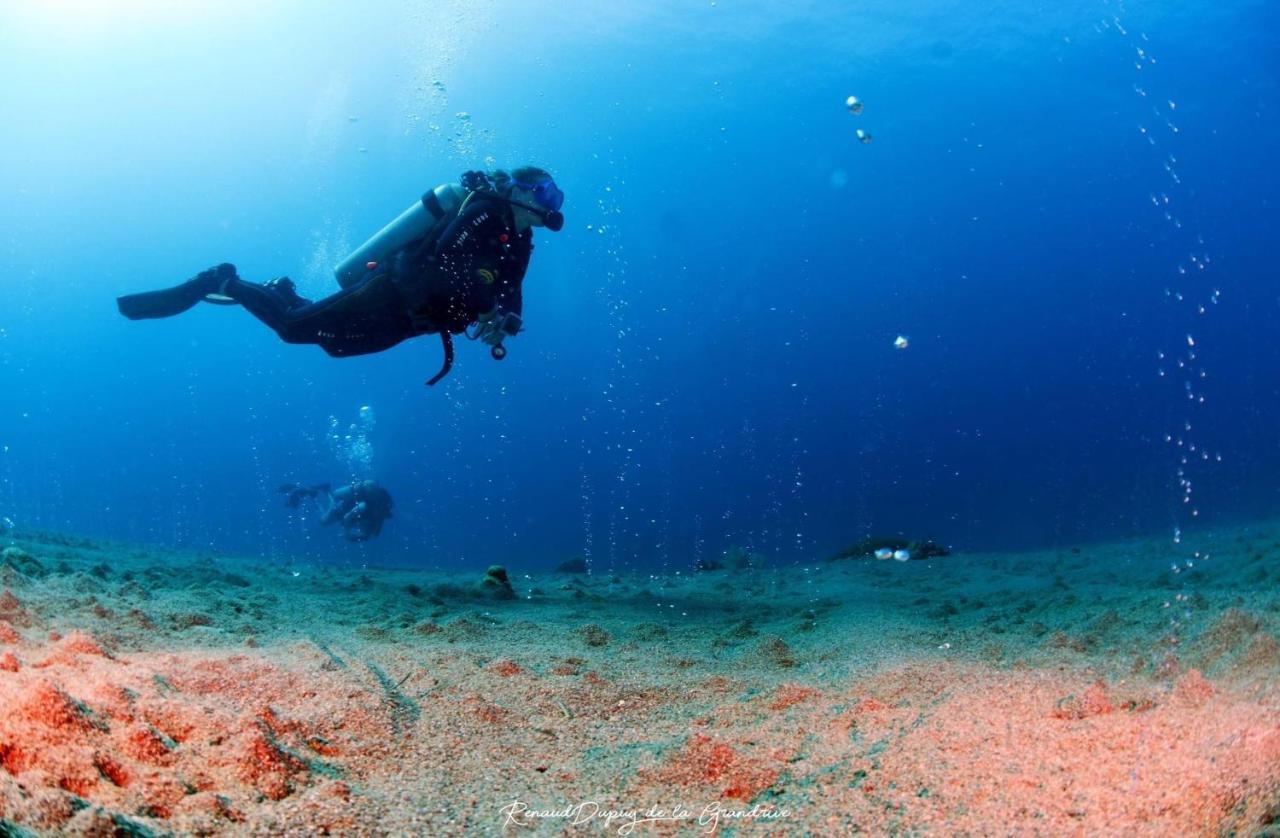 La Tortue Diving Resort Dauin Eksteriør bilde