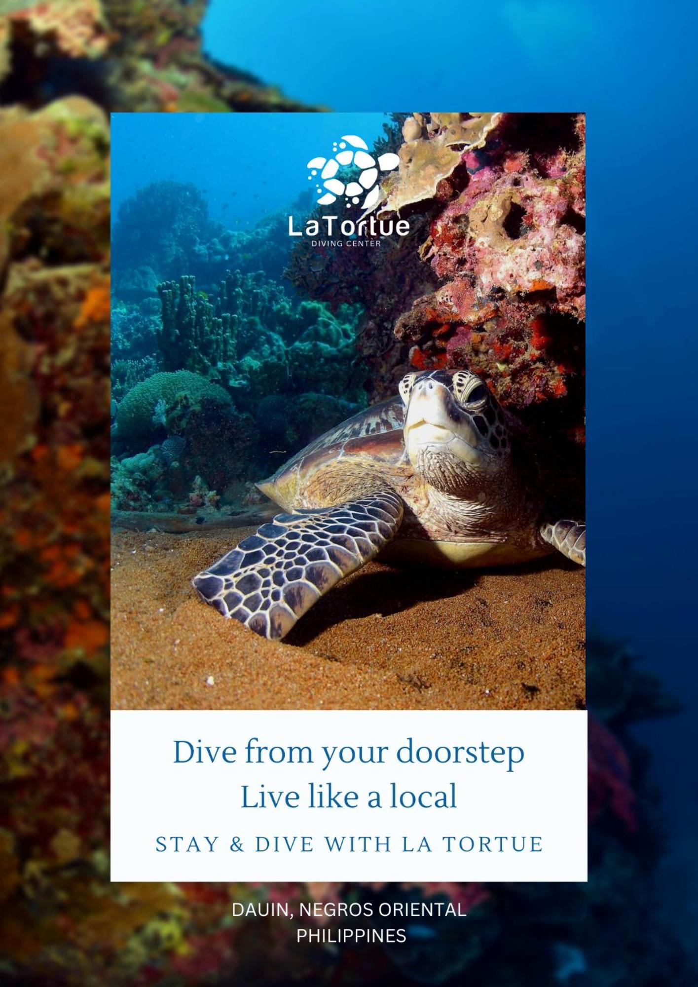 La Tortue Diving Resort Dauin Eksteriør bilde
